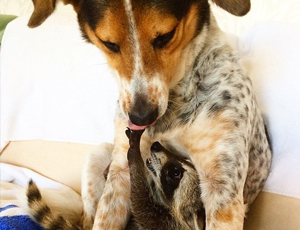 在线永久免费轰炸云呼