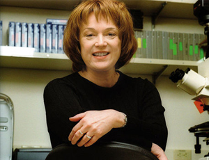 快速的充值网站求的轰炸电话神器