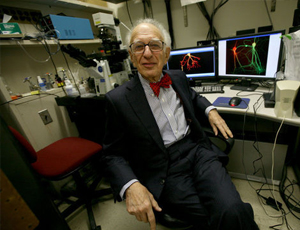 在线轰炸电话软件版